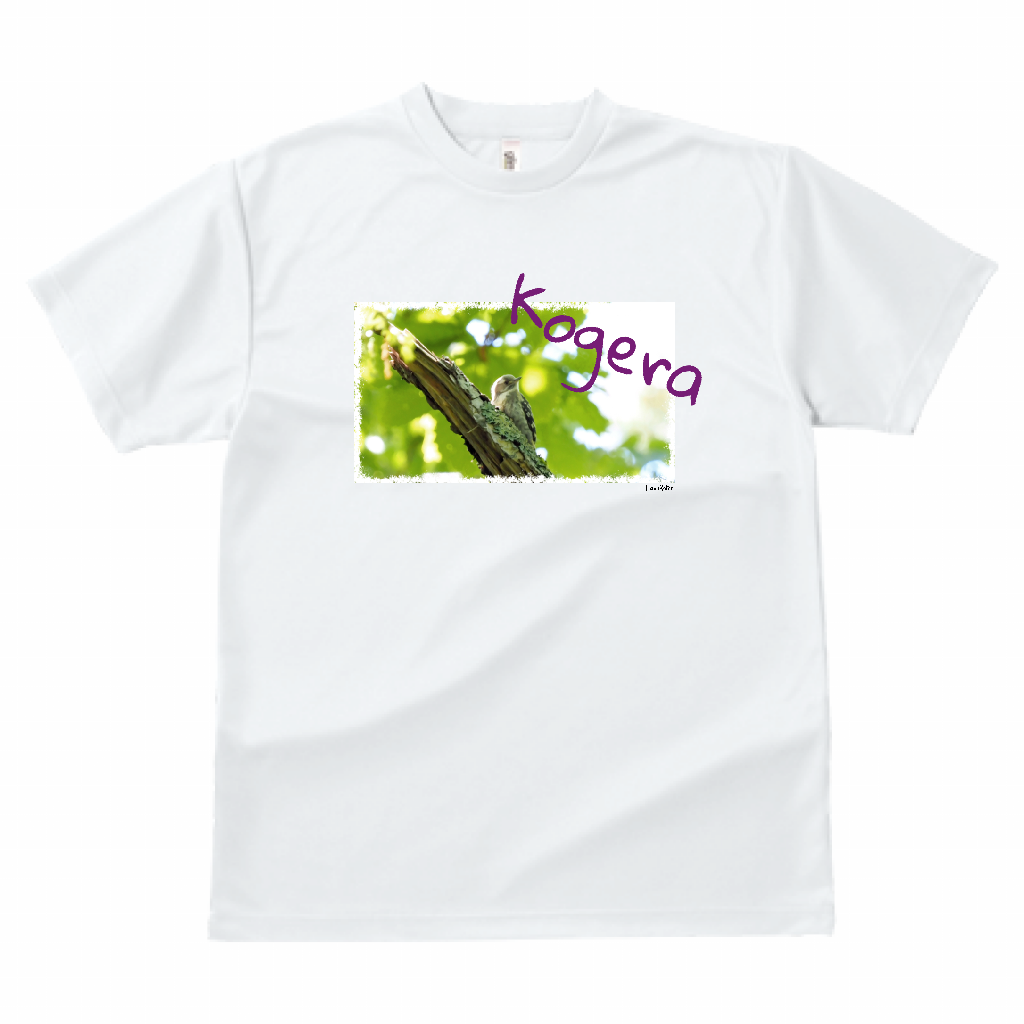 野鳥 Tシャツ(ドライ) 【コゲラ(幼鳥)】