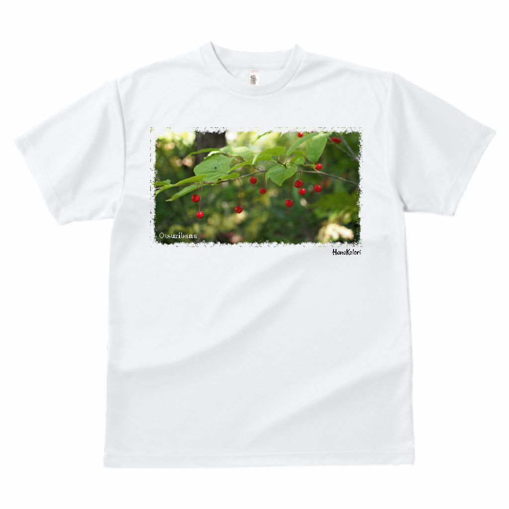山野草 Tシャツ 【フウリンウメモドキ】(ホワイト)