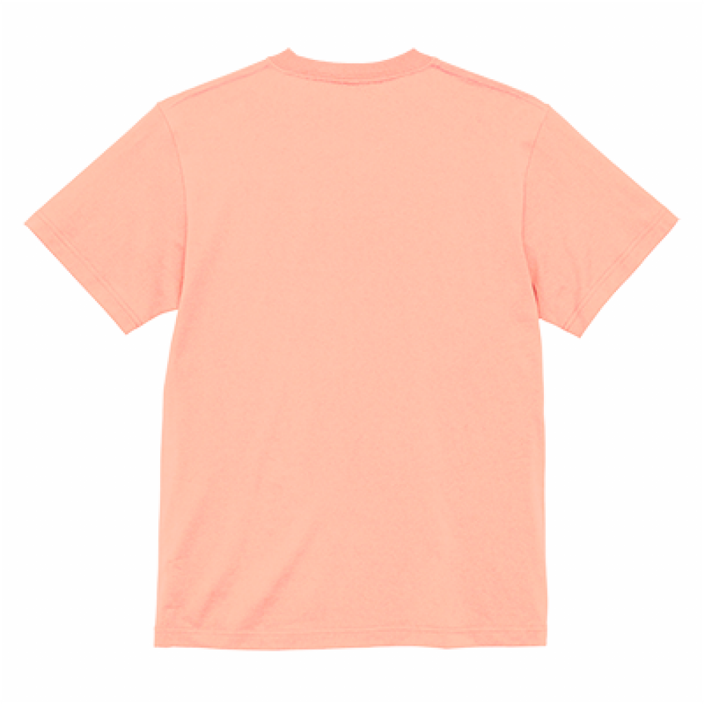 山野草 Tシャツ 【フウリンウメモドキ】(オレンジ)