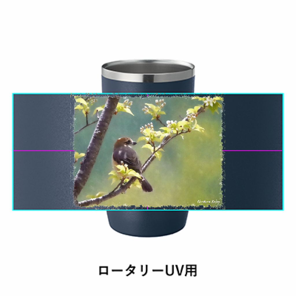 野鳥タンブラー 450ml 【モズ】(ネイビー)