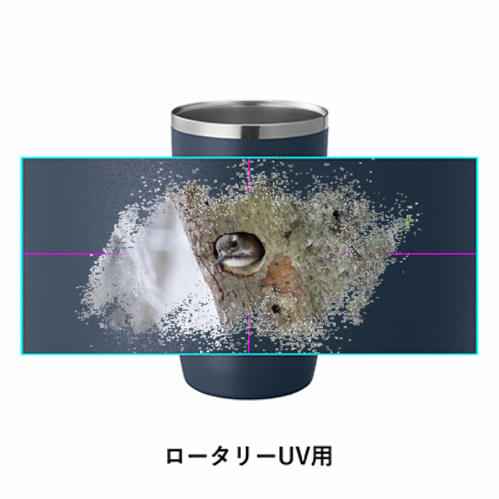 野鳥タンブラー 450ml 【コゲラ】(ネイビー)