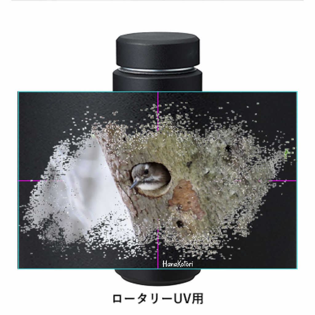 野鳥サーモボトル 500ml 【コゲラ】(ブラック)