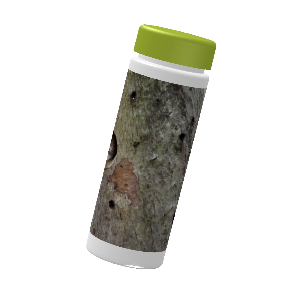 野鳥 スリムボトル 500ml 【コゲラ】