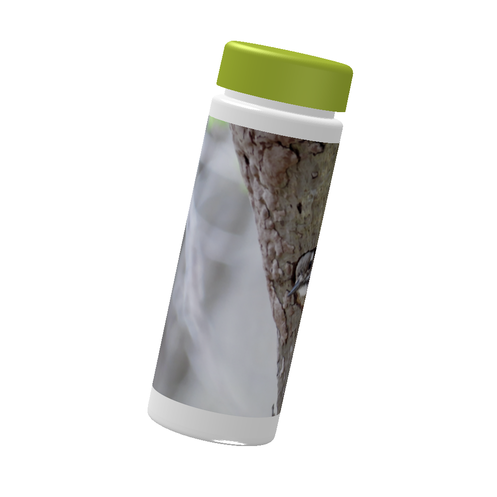 野鳥 スリムボトル 500ml 【コゲラ】