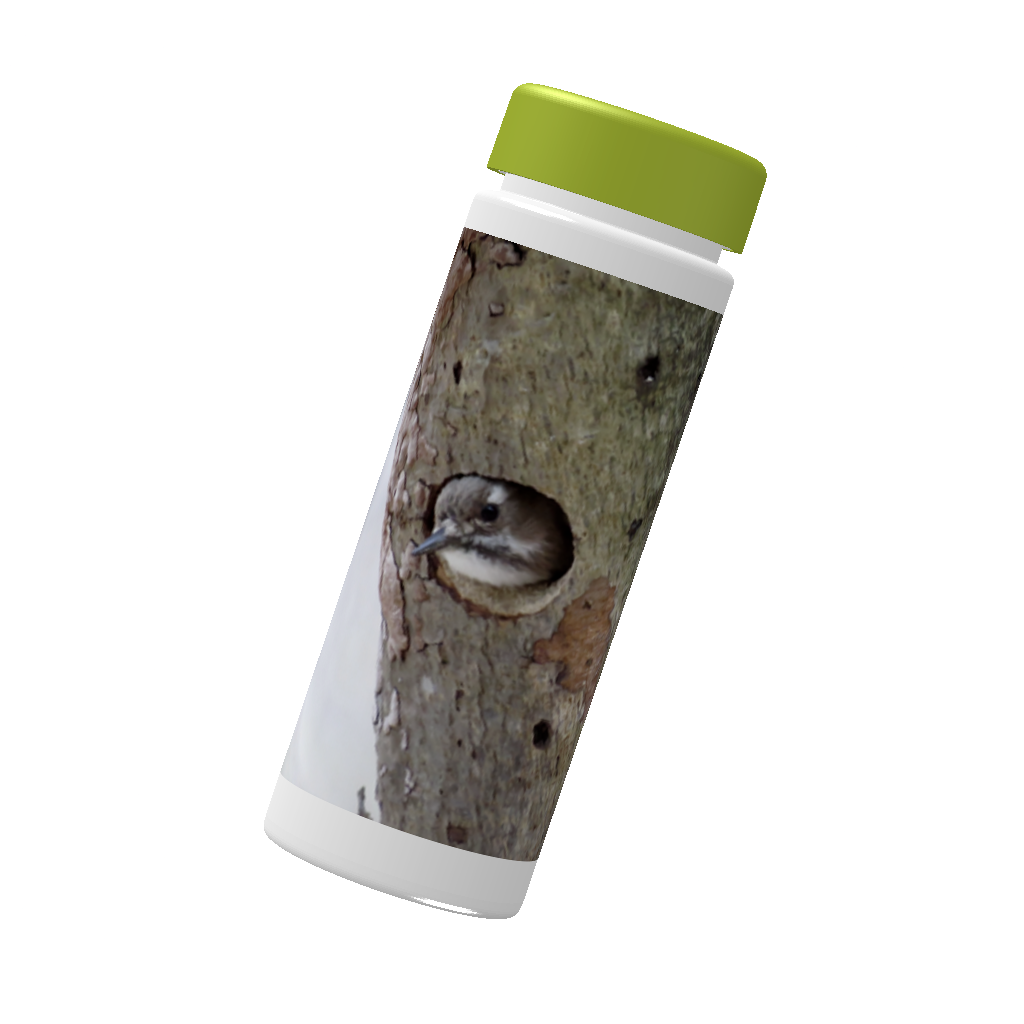 野鳥 スリムボトル 500ml 【コゲラ】