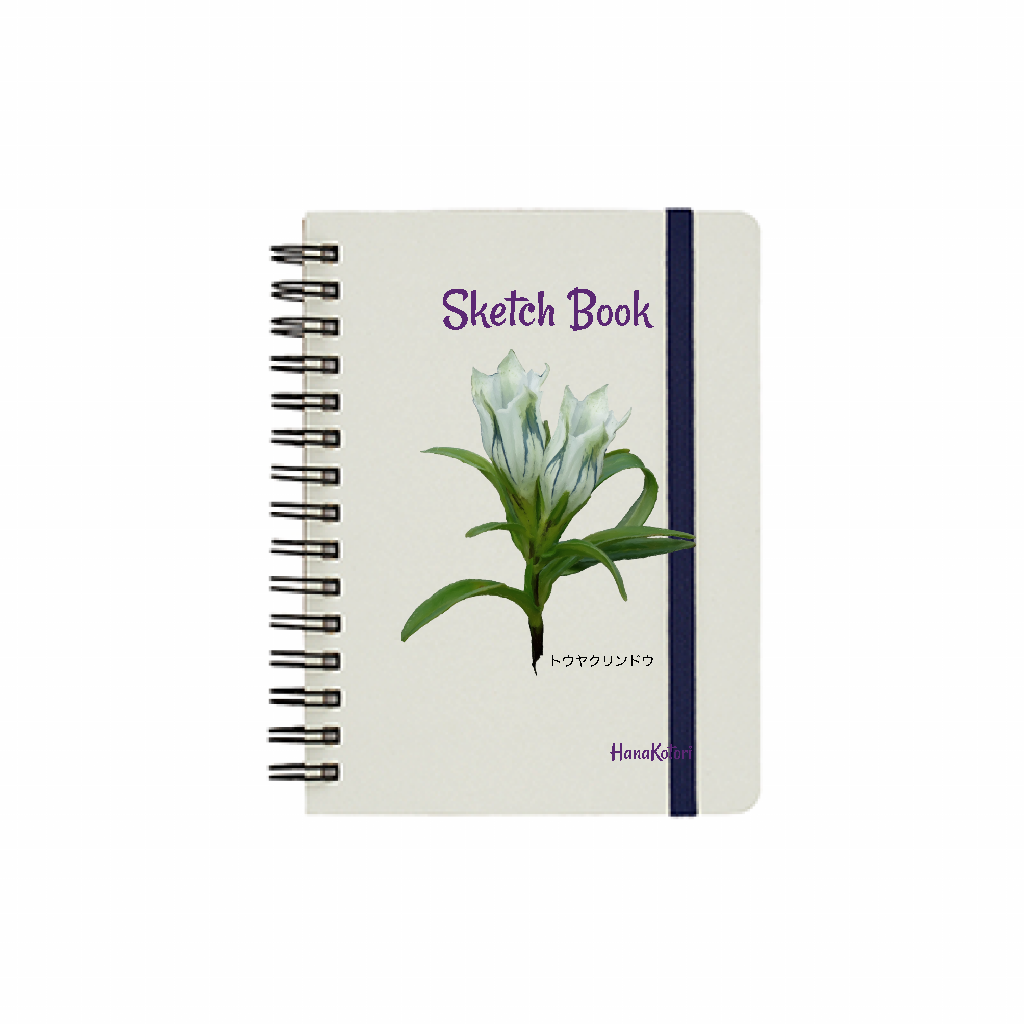山野草 Sketch Book【トウヤクリンドウ】