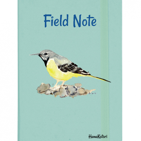 野鳥 Field Note【キセキレイ】