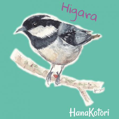 野鳥ポロシャツ(ドライ) 【ヒガラ】(ミントグリーン)