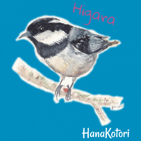 野鳥ポロシャツ(ドライ) 【ヒガラ】(ライトブルー)