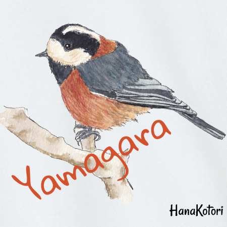 野鳥 ジップパーカー(ドライ) 【ヤマガラ】(ホワイト)