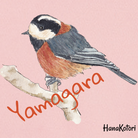 野鳥 ジップパーカー(ドライ) 【ヤマガラ】(ピンク)