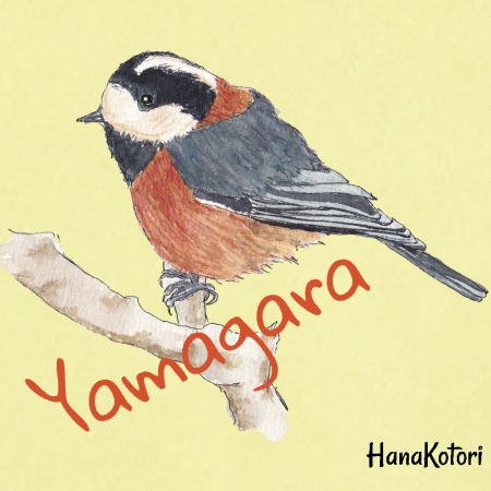 野鳥 ジップパーカー(ドライ) 【ヤマガラ】(イエロー)
