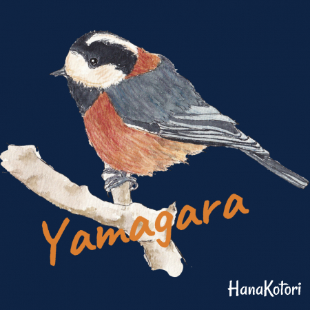 野鳥 ポロシャツ(ドライ) 【ヤマガラ】