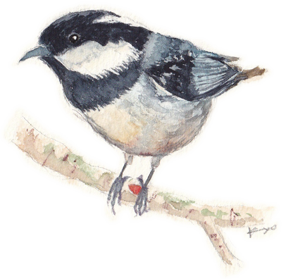 野鳥ハンドタオル 【ヒガラ】
