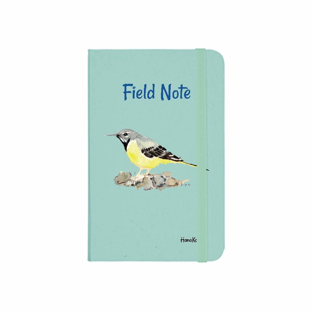 野鳥 Field Note【キセキレイ】