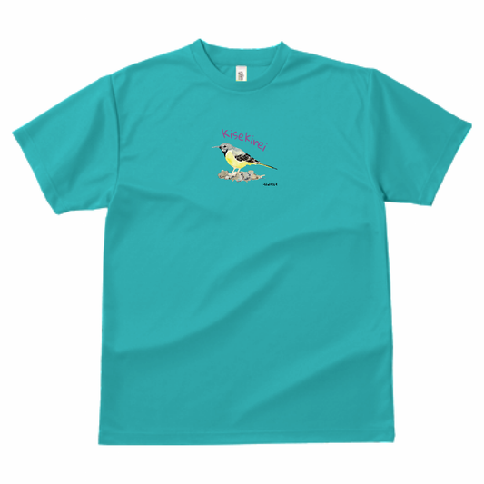野鳥Tシャツ(ドライ) 【キセキレイ】（ミントブルー）