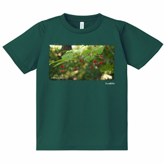 山野草 Tシャツ 【フウリンウメモドキ】（グリーン）