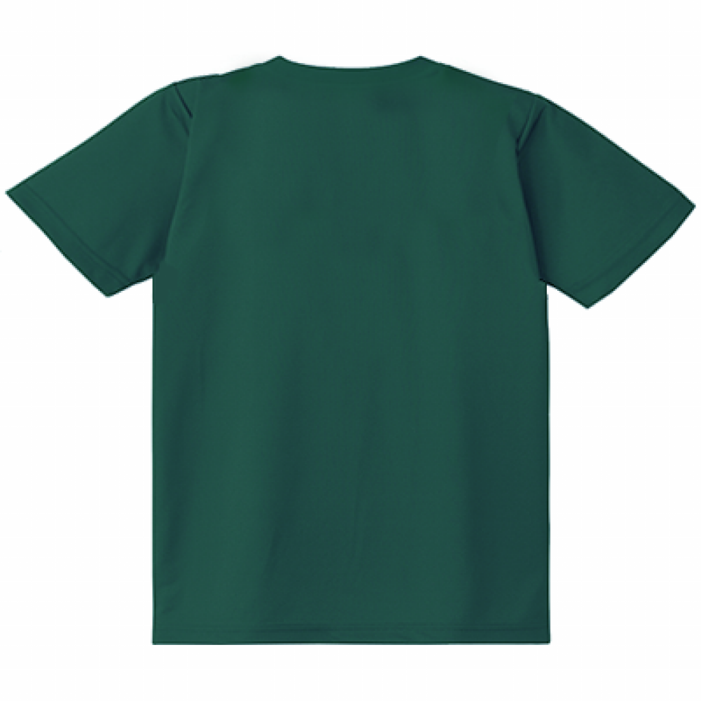 山野草 Tシャツ 【フウリンウメモドキ】（グリーン）