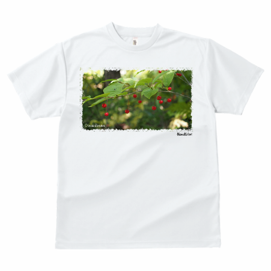 山野草 Tシャツ 【フウリンウメモドキ】（ホワイト）