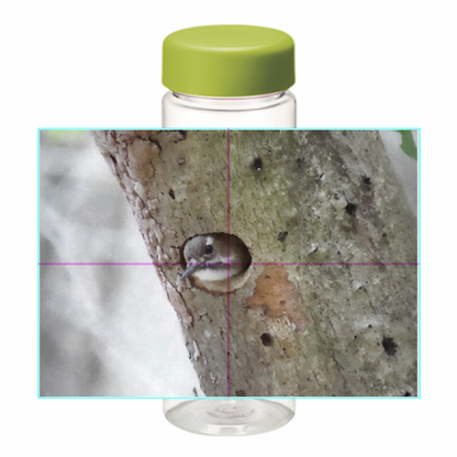 野鳥 スリムボトル 500ml 【コゲラ】