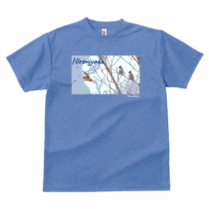 野鳥 Tシャツ(ドライ)  【ヒレンジャク】
