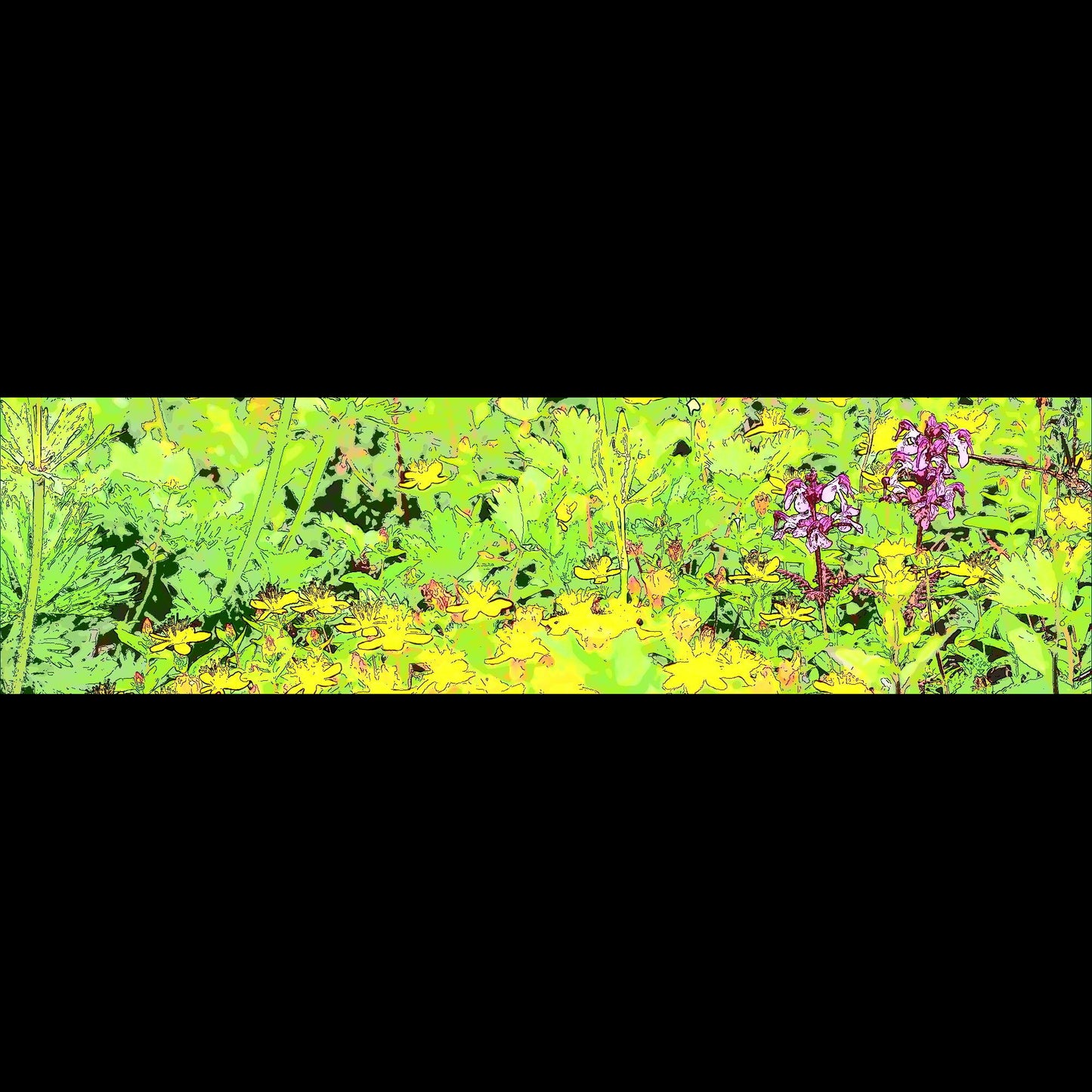 野に咲く花・山野草 ポーチ【ヨツバシオガマとシナノオトギリ】（ネイビー）