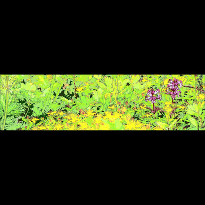 野に咲く花・山野草 ポーチ【ヨツバシオガマとシナノオトギリ】（ネイビー）