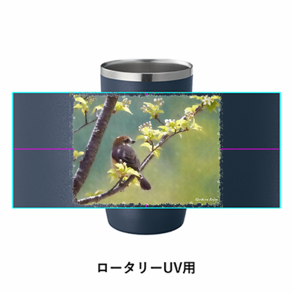 野鳥タンブラー 450ml 【モズ】（ネイビー）
