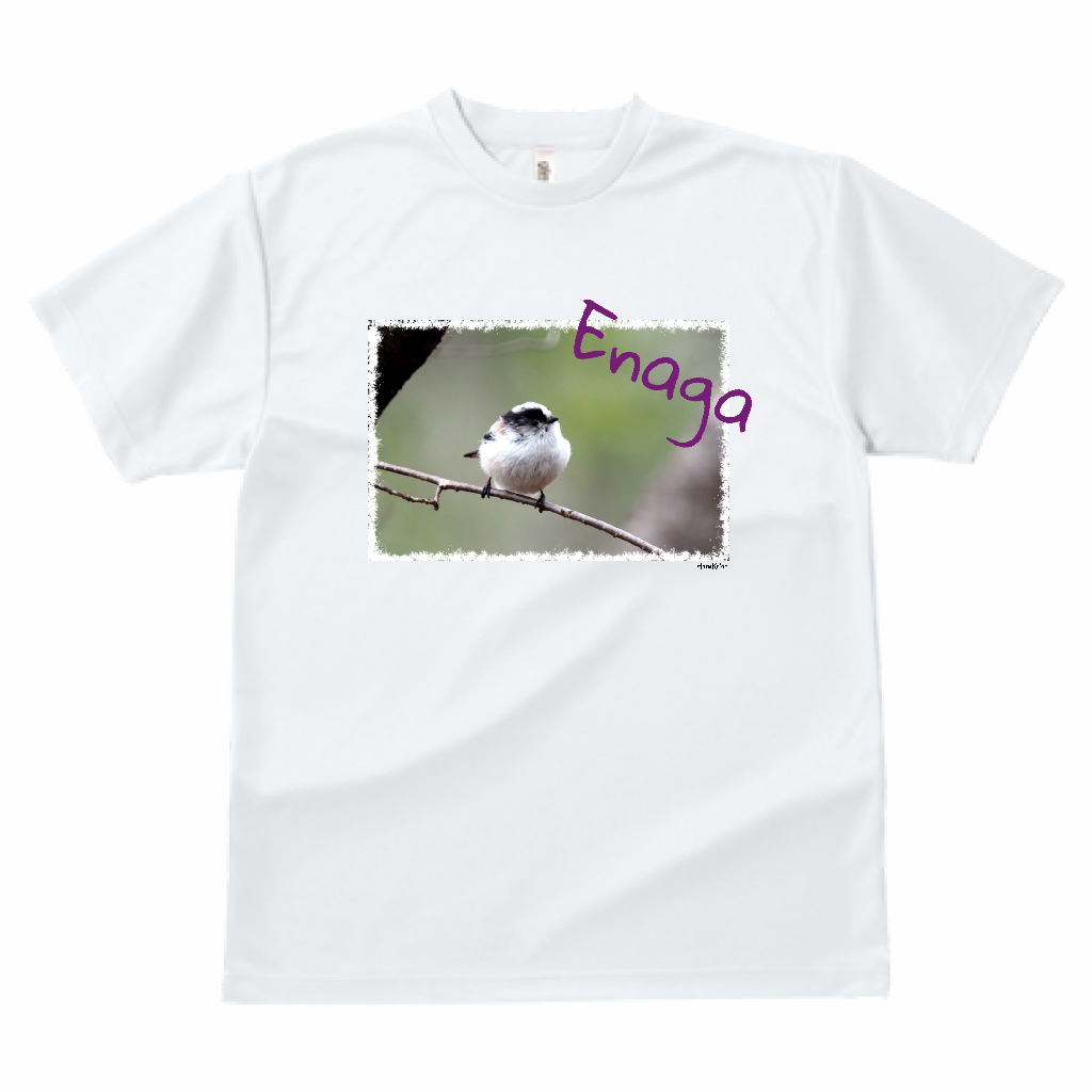 野鳥 Tシャツ(ドライ)  【エナガ】
