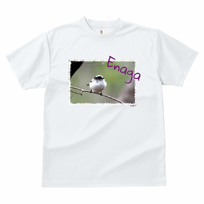 野鳥 Tシャツ(ドライ)  【エナガ】