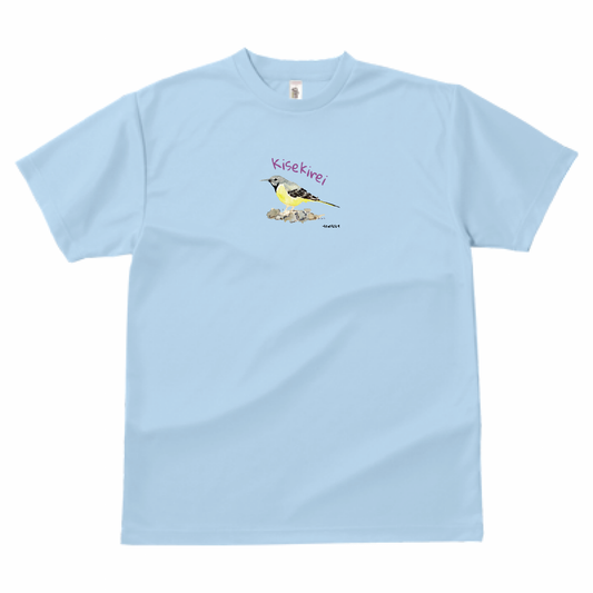 野鳥 Tシャツ(ドライ) 【キセキレイ】（ライトブルー）