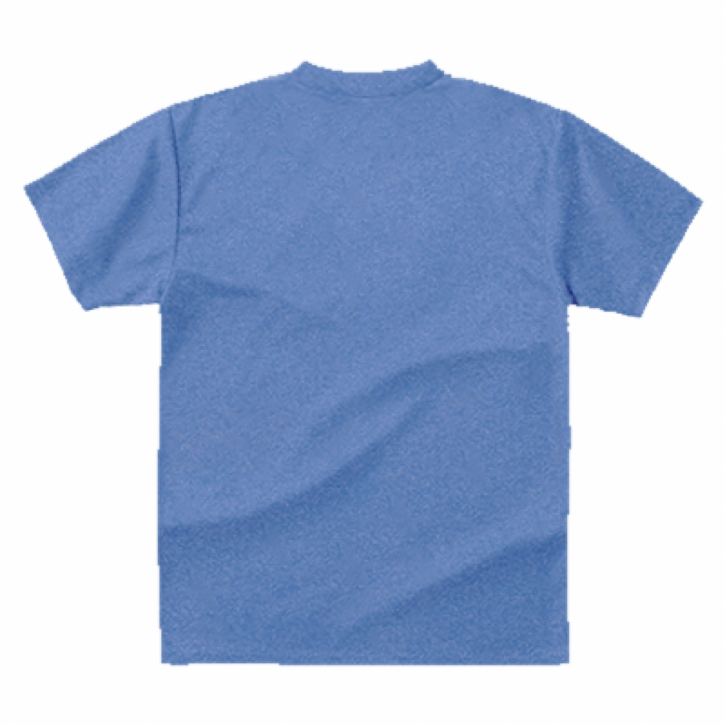 野鳥 Tシャツ(ドライ)  【ヒレンジャク】