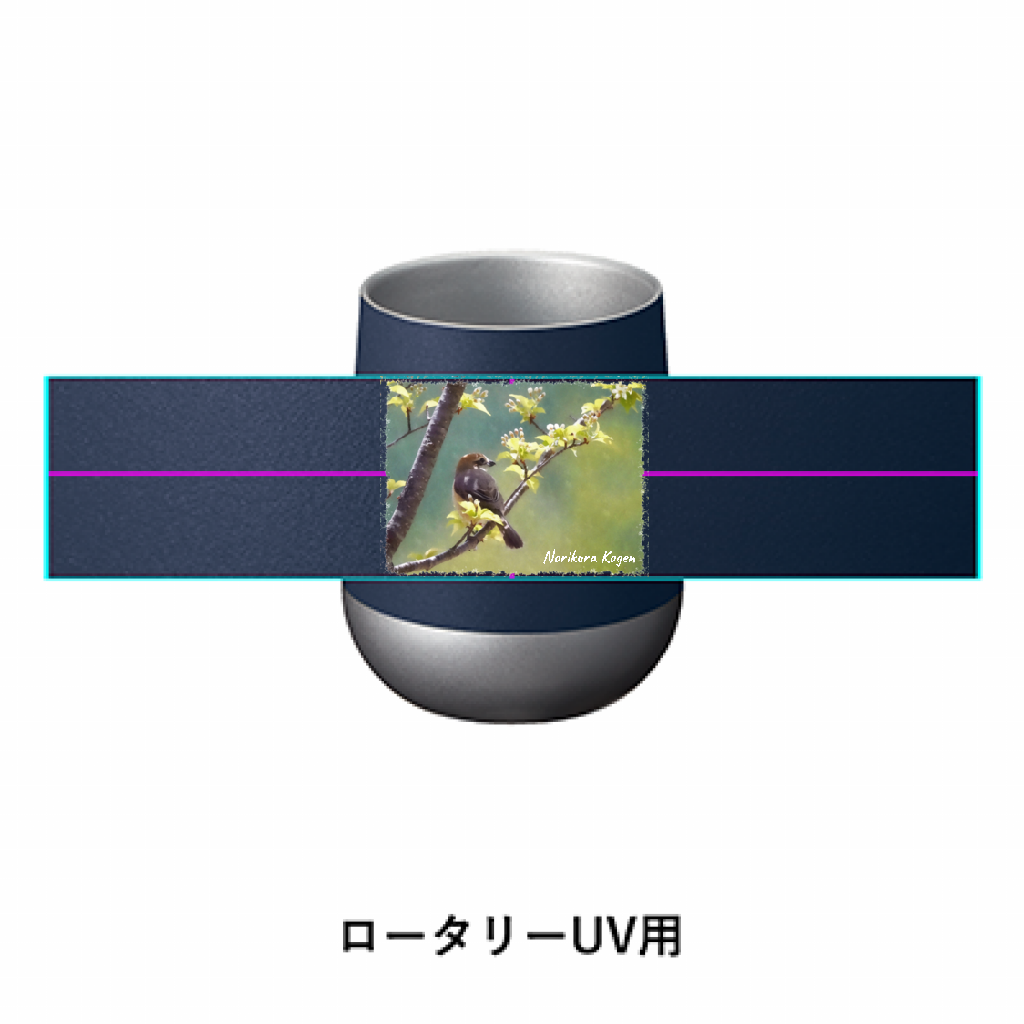 野鳥タンブラー 【モズ】