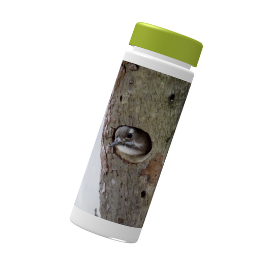 野鳥 スリムボトル 500ml 【コゲラ】