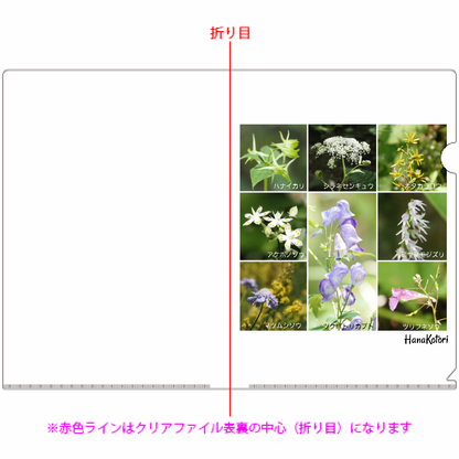 A4クリアファイル 10枚セット 【夏の花B】