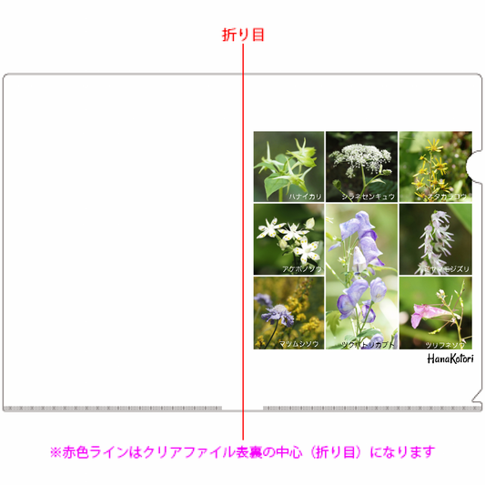 A4クリアファイル 10枚セット 【夏の花B】