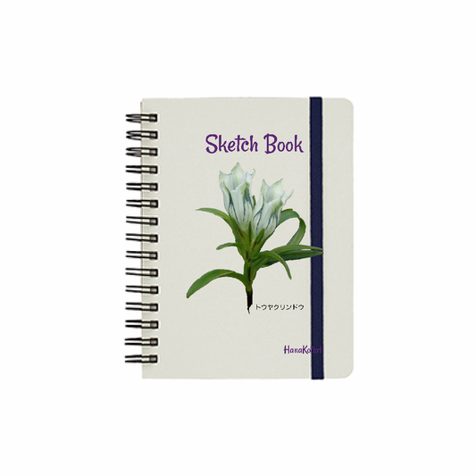 山野草 Sketch Book【トウヤクリンドウ】