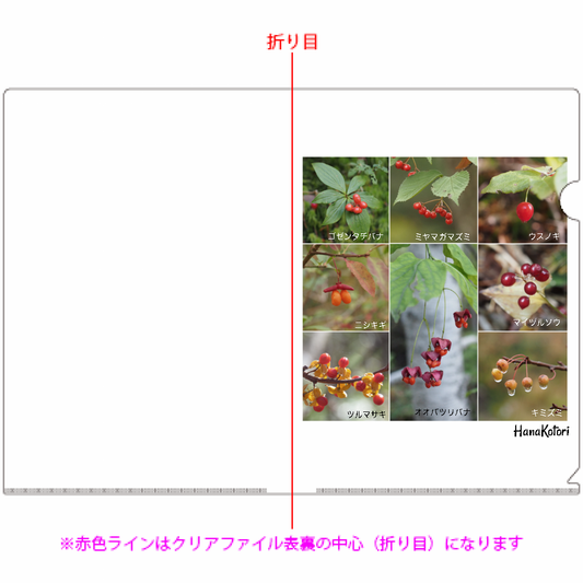 A4クリアファイル 10枚セット 【秋の果実A】