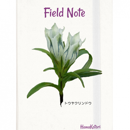 山野草 Field Note【トウヤクリンドウ】