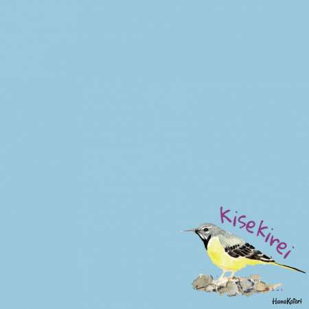 野鳥 トートバッグ(M)　【キセキレイ】