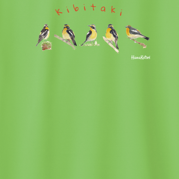 野鳥 Tシャツ（ドライ）　【キビタキ】（ライトグリーン）