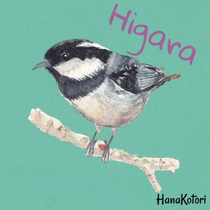 野鳥 ジップパーカー(ドライ) 【ヒガラ】（グリーン）