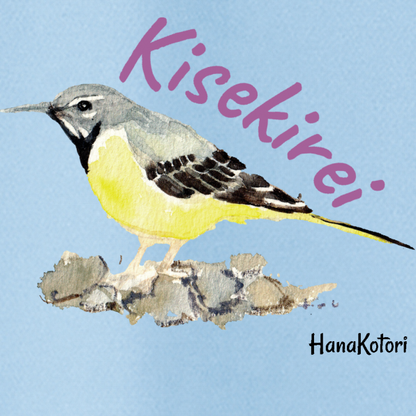 野鳥 Tシャツ(ドライ) 【キセキレイ】（ライトブルー）