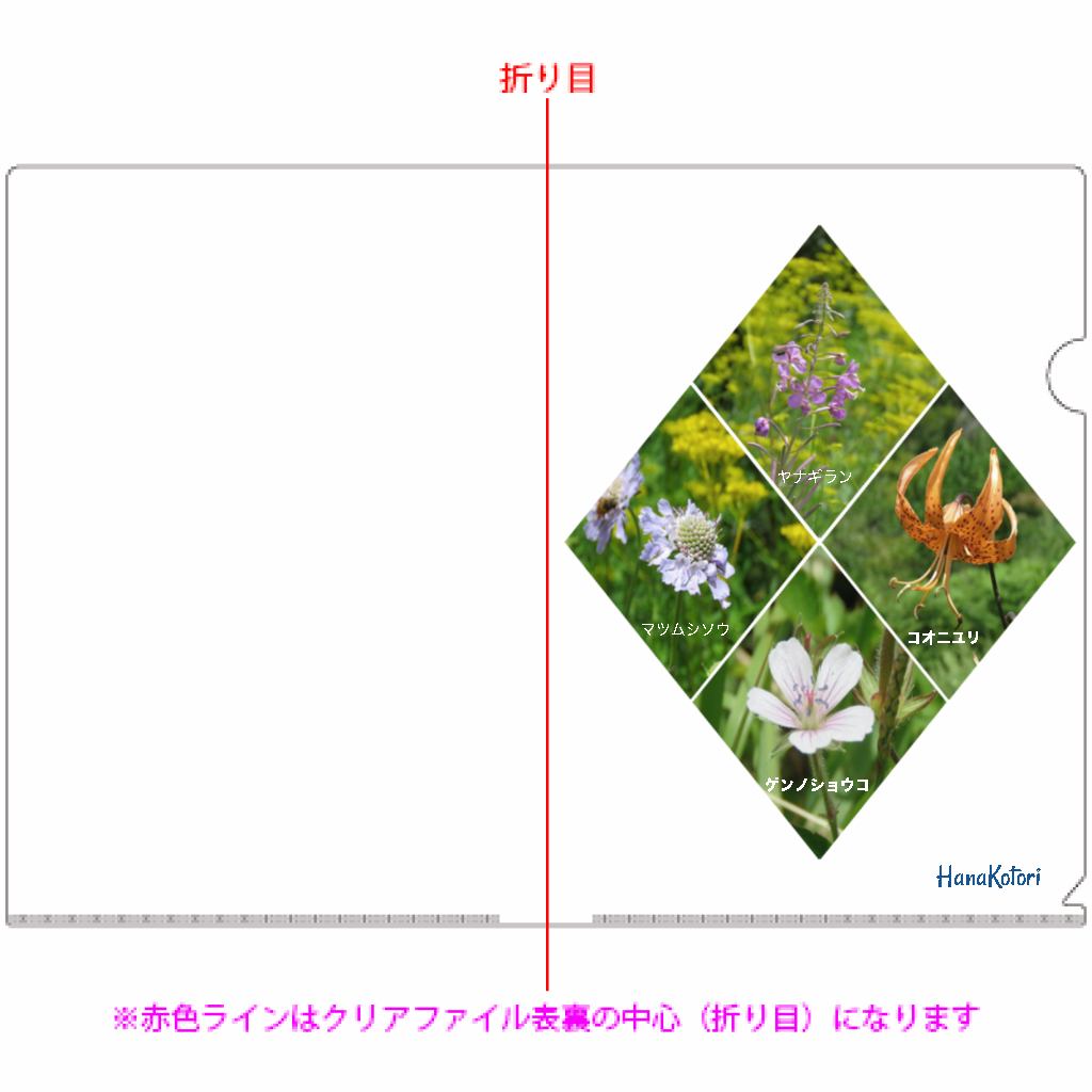 A4クリアファイル 10枚セット 【夏の花A】