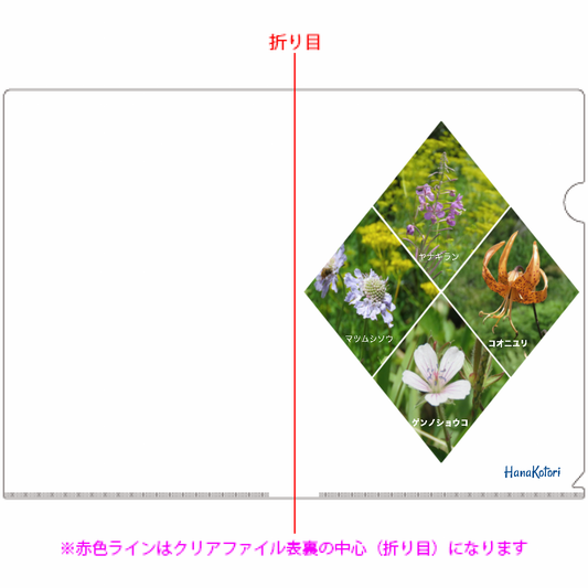 A4クリアファイル 10枚セット 【夏の花A】